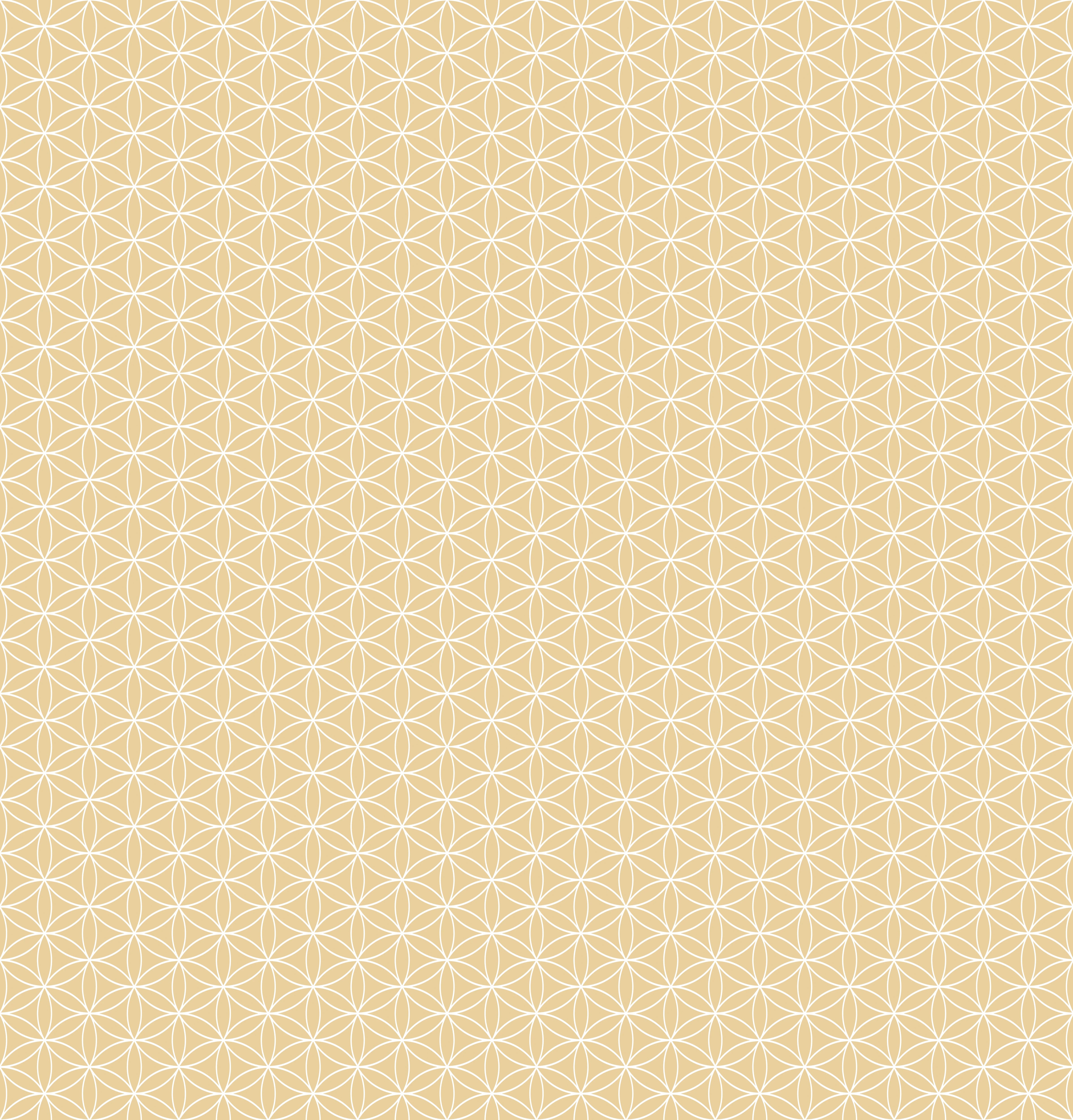 Duschrückwand - Geometrica - Fiori - Sabbia