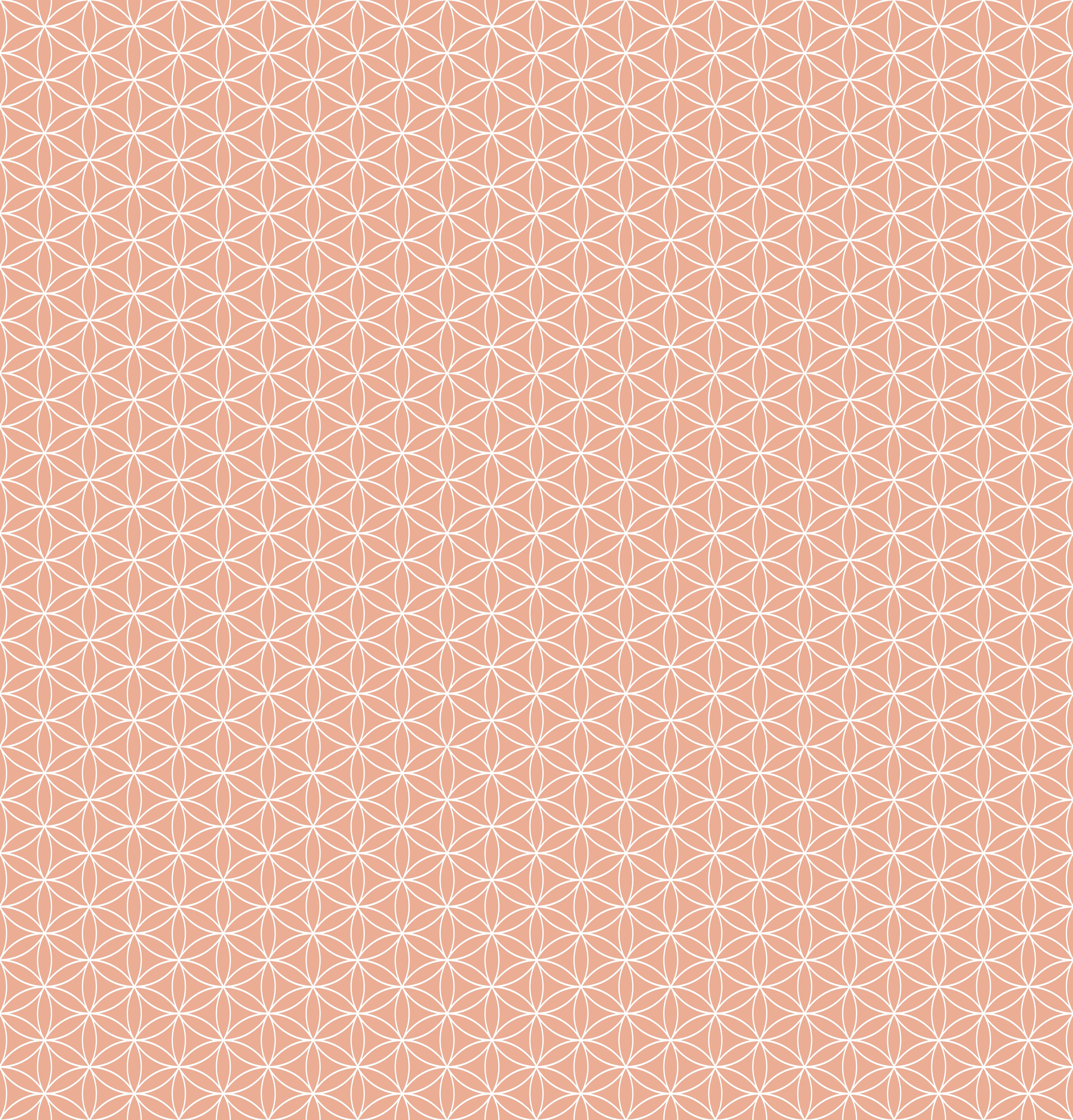 Duschrückwand - Geometrica - Fiori - Salmone