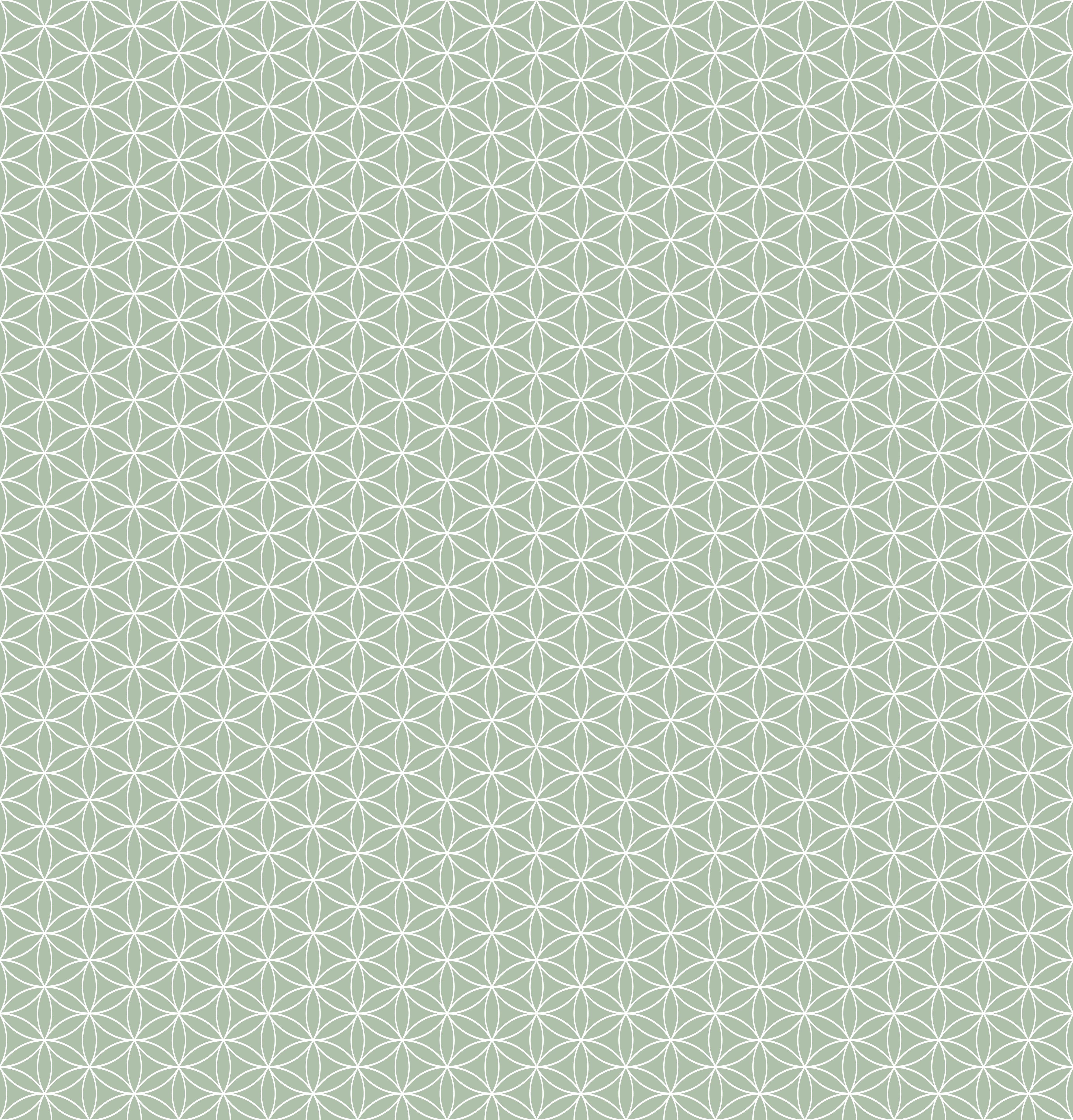 Duschrückwand - Geometrica - Fiori - Salvia