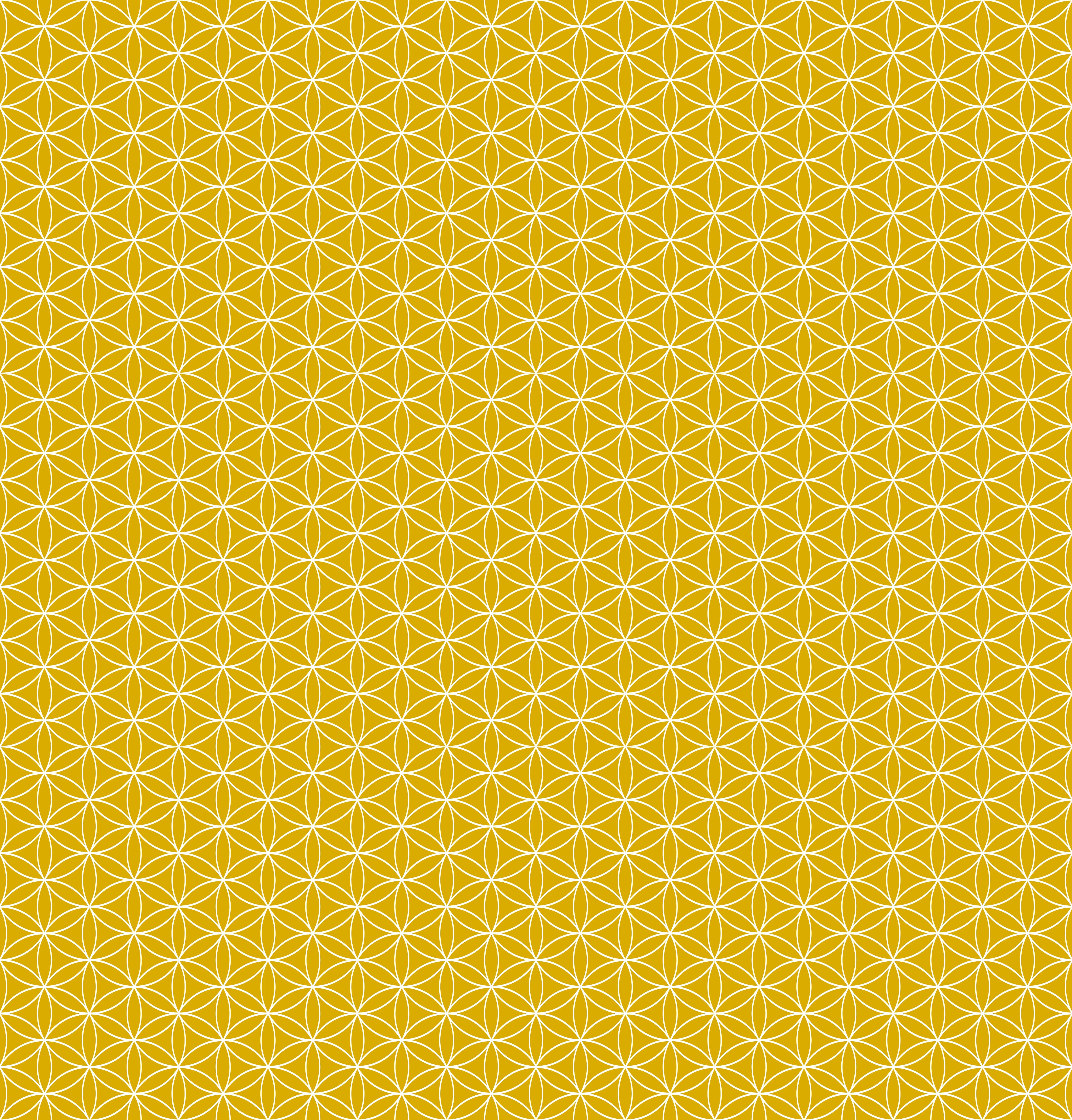 Duschrückwand - Geometrica - Fiori - Senape