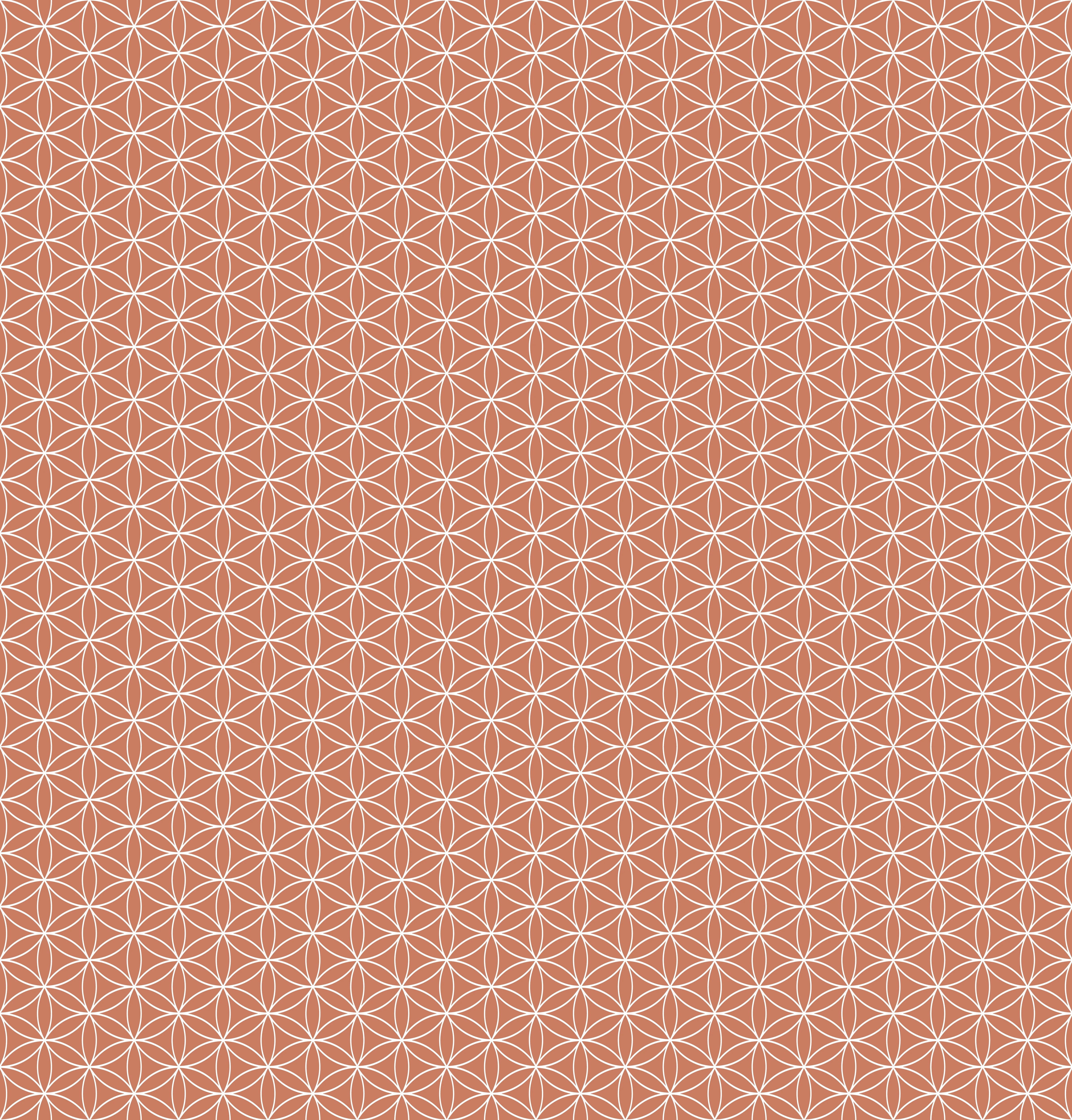 Duschrückwand - Geometrica - Fiori - Terracotta