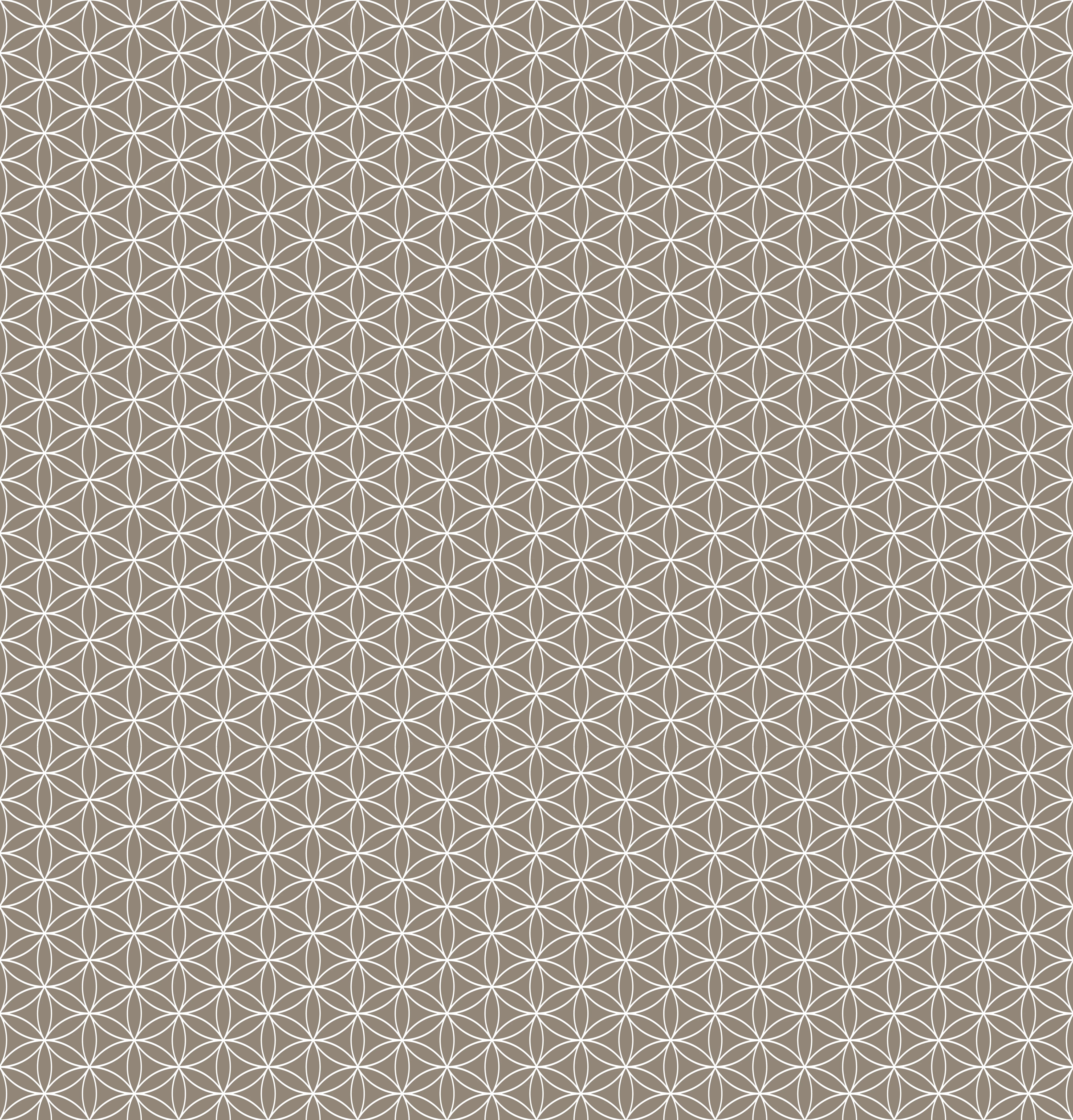 Duschrückwand - Geometrica - Fiori - Tortora