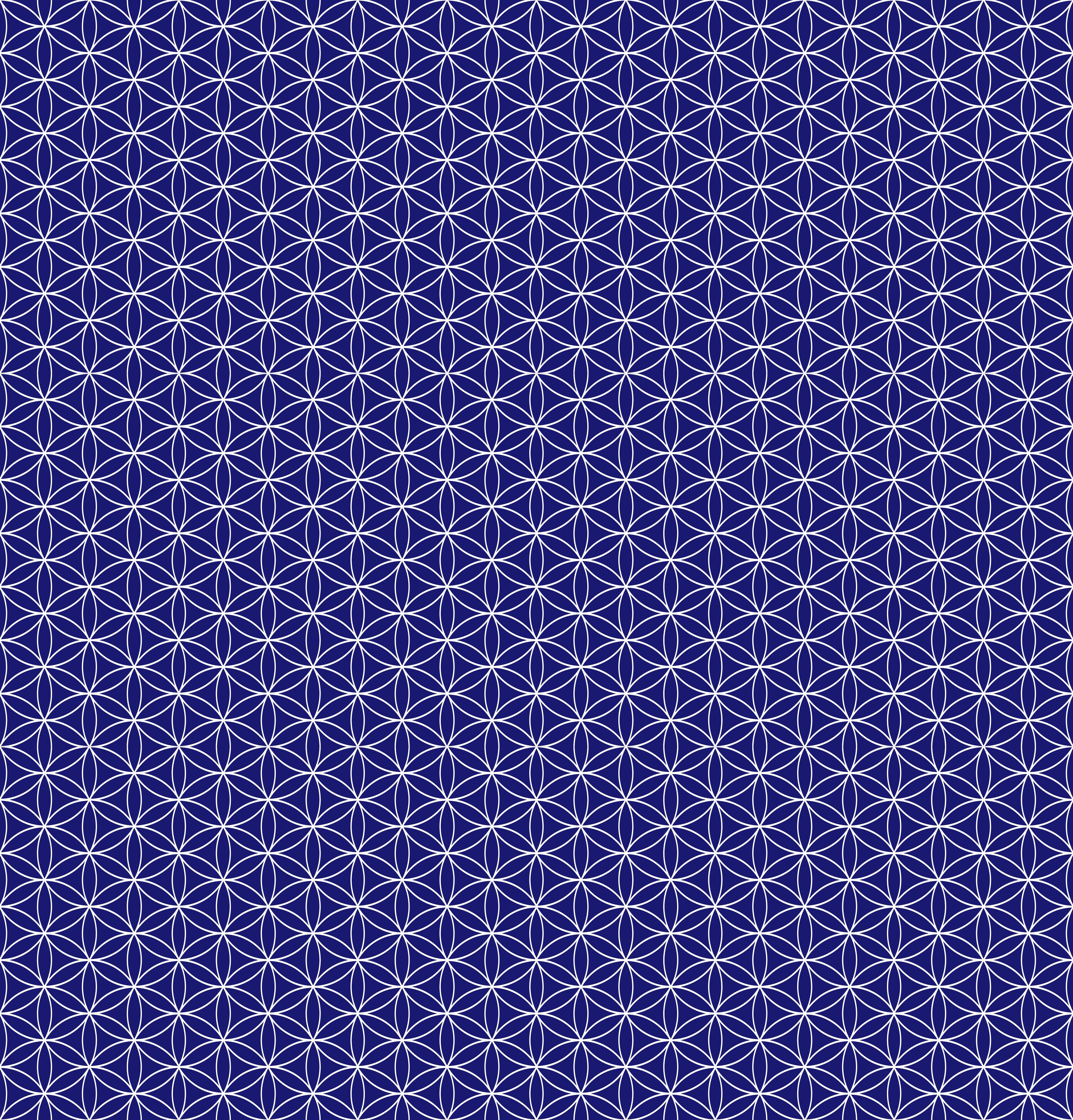 Duschrückwand - Geometrica - Fiori - Zaffiro