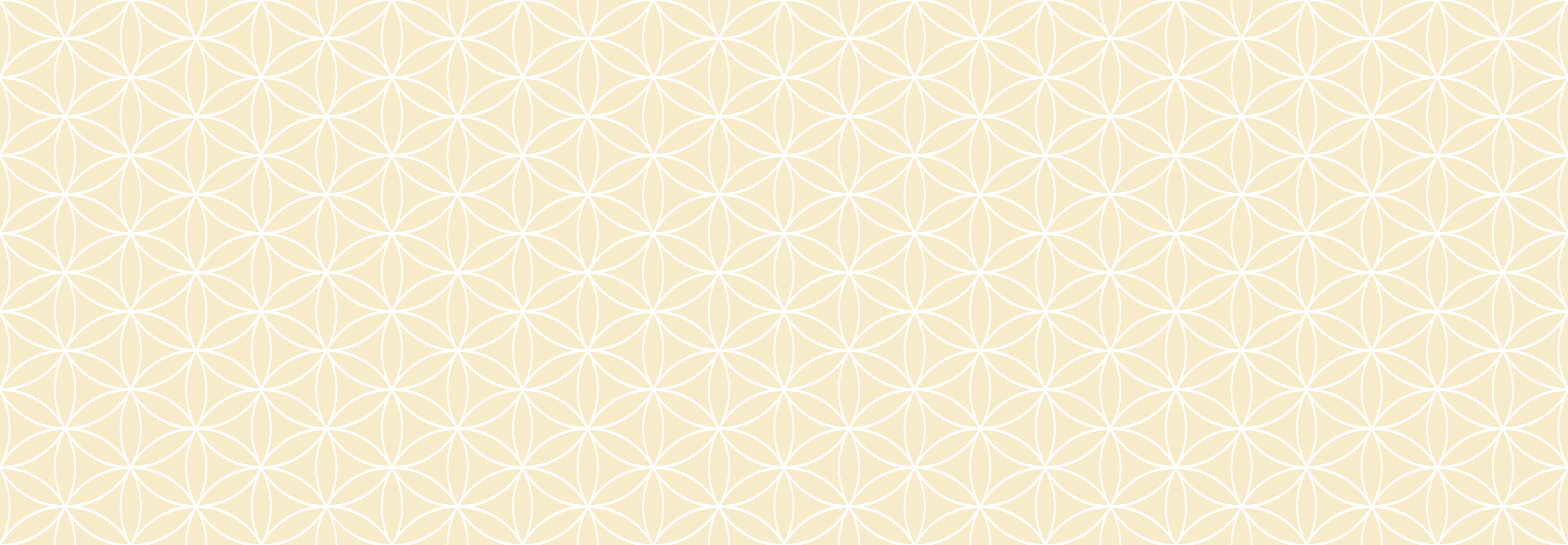 Küchenrückwand - Geometrica - Fiori - Avorio