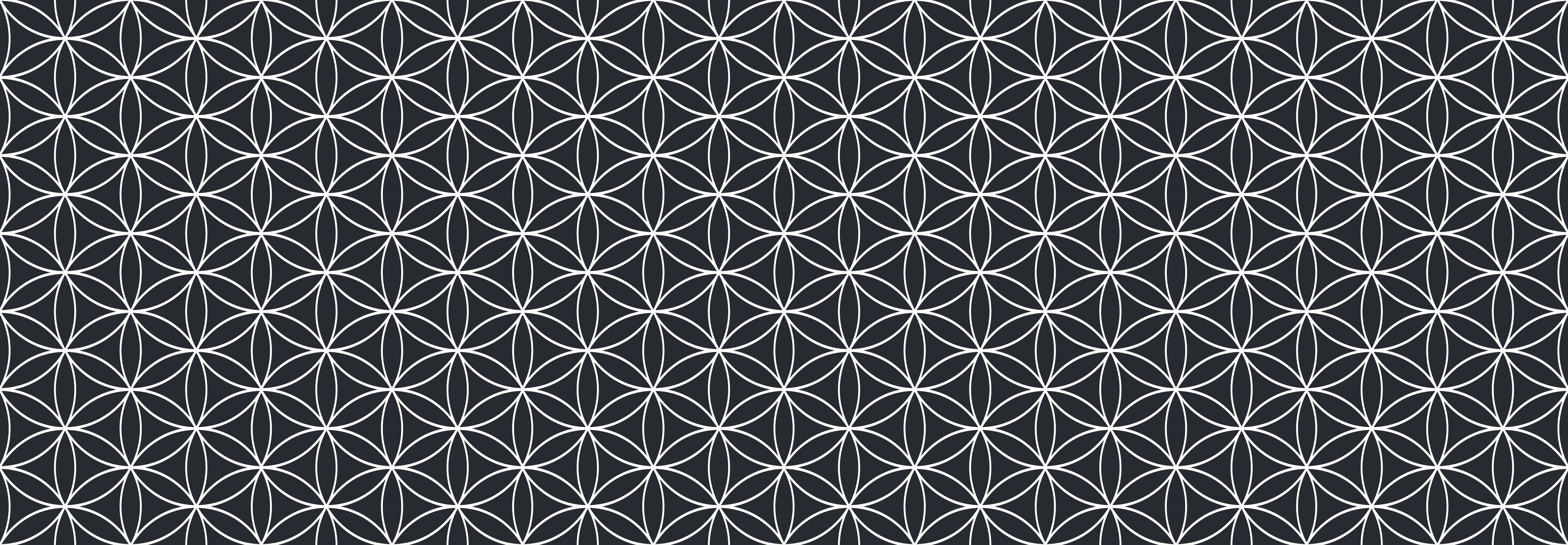 Küchenrückwand - Geometrica - Fiori - Carbone