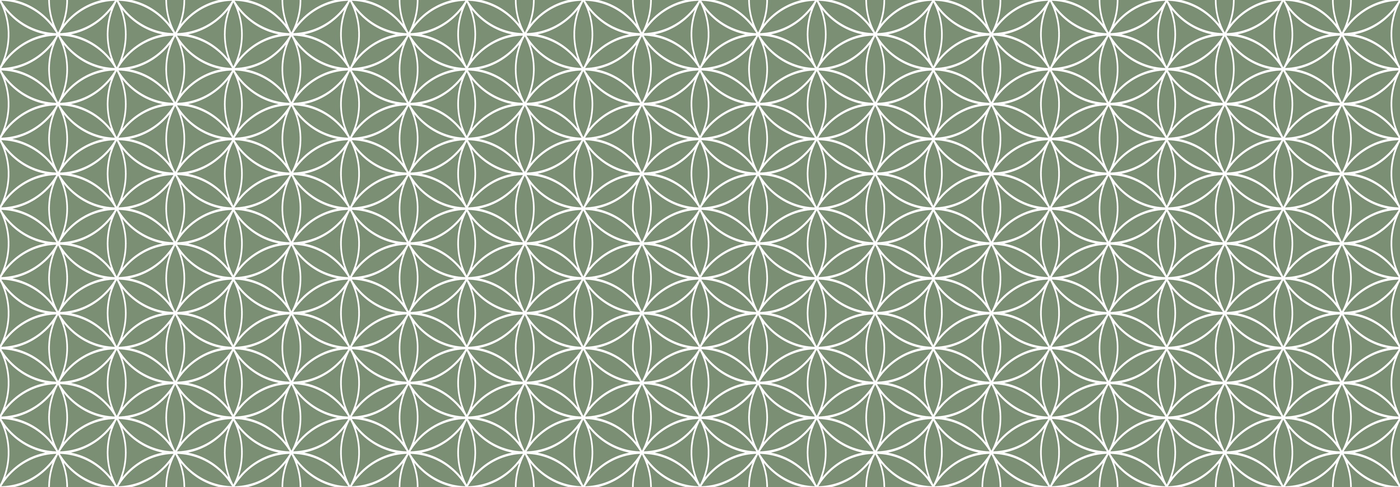 Küchenrückwand - Geometrica - Fiori - Oliva