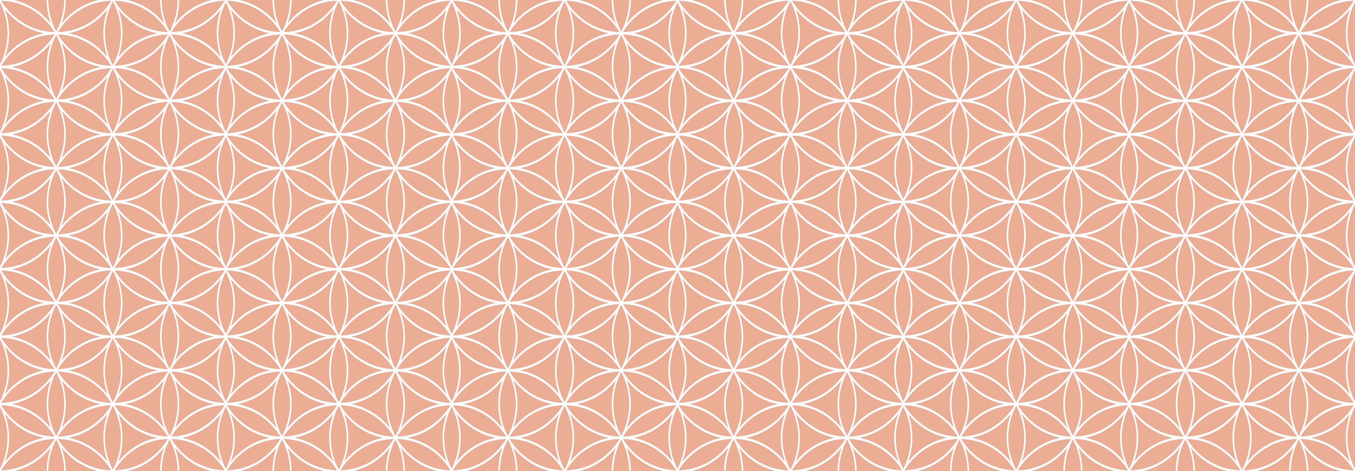 Küchenrückwand - Geometrica - Fiori - Salmone