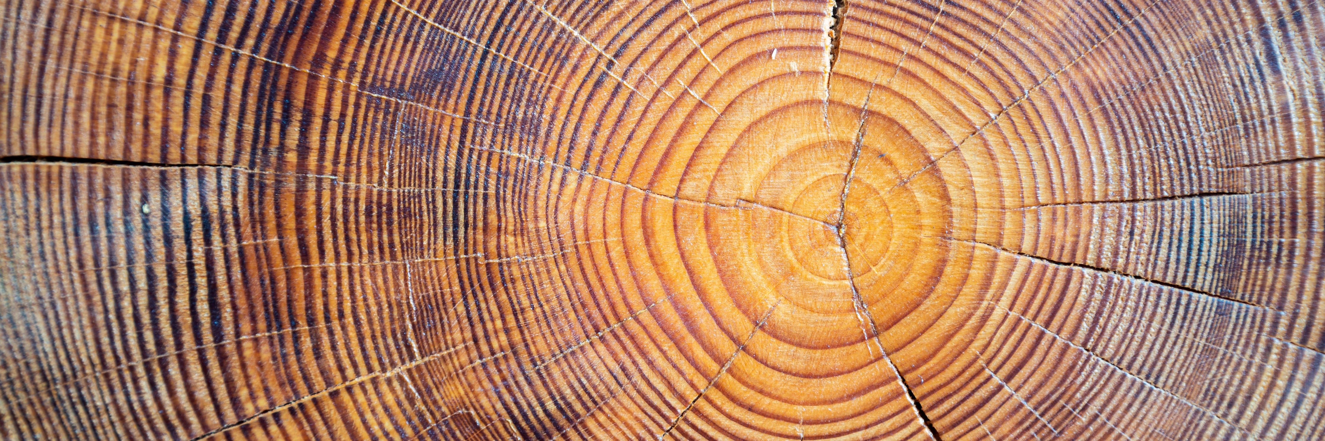 Küchenrückwand - Madera-Bosco