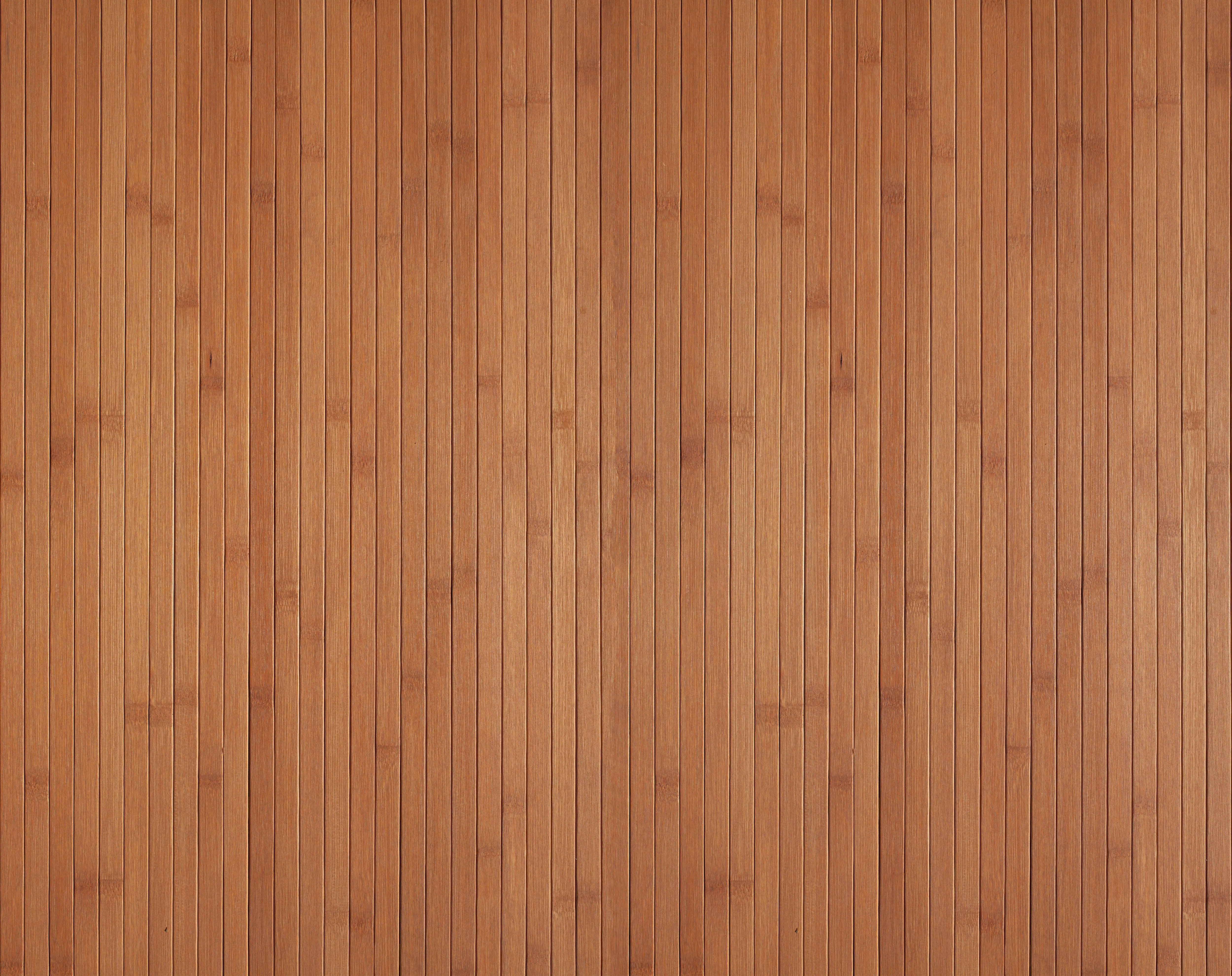 Duschrückwand - Caoba