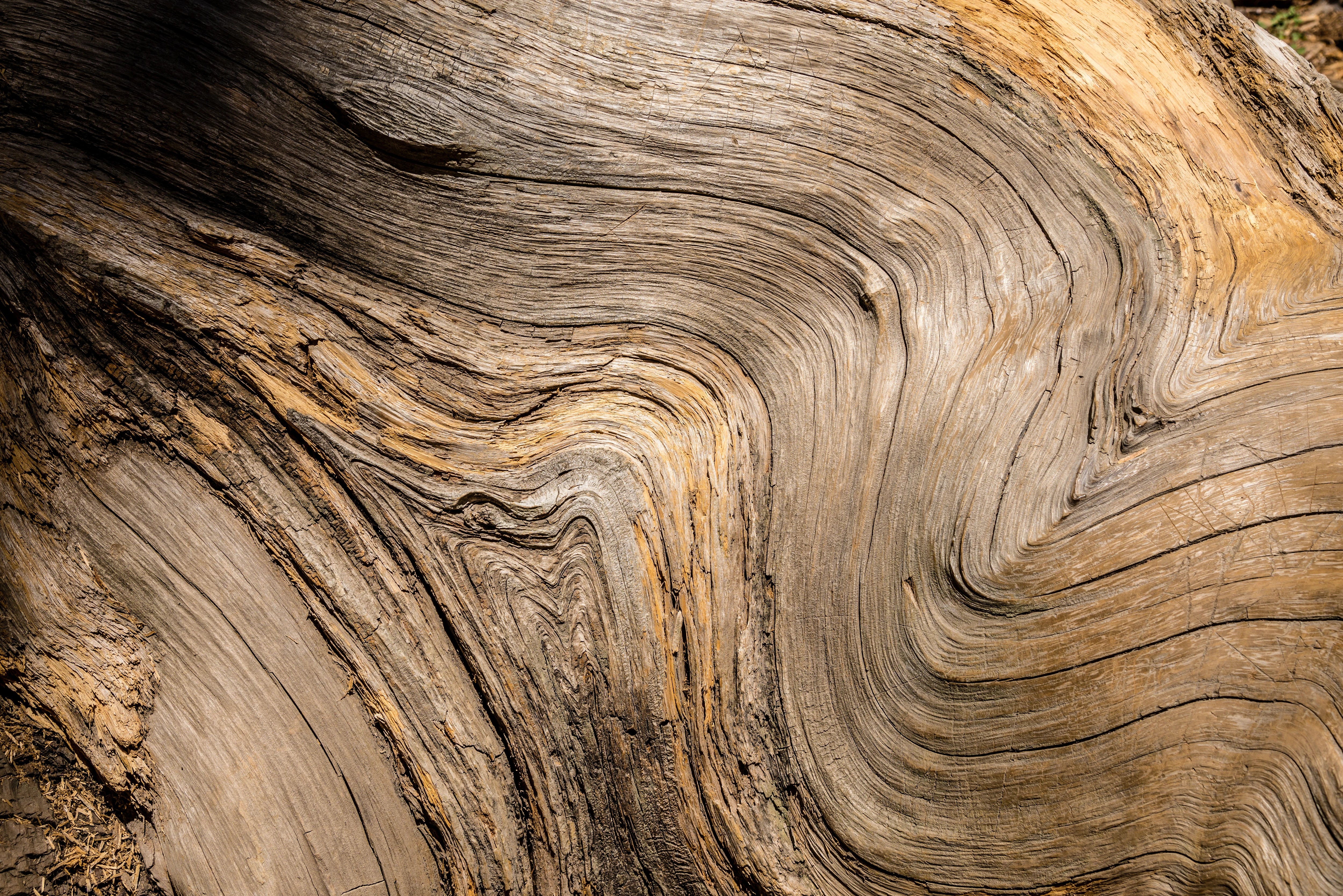 Duschrückwand - Madera-Selvstico