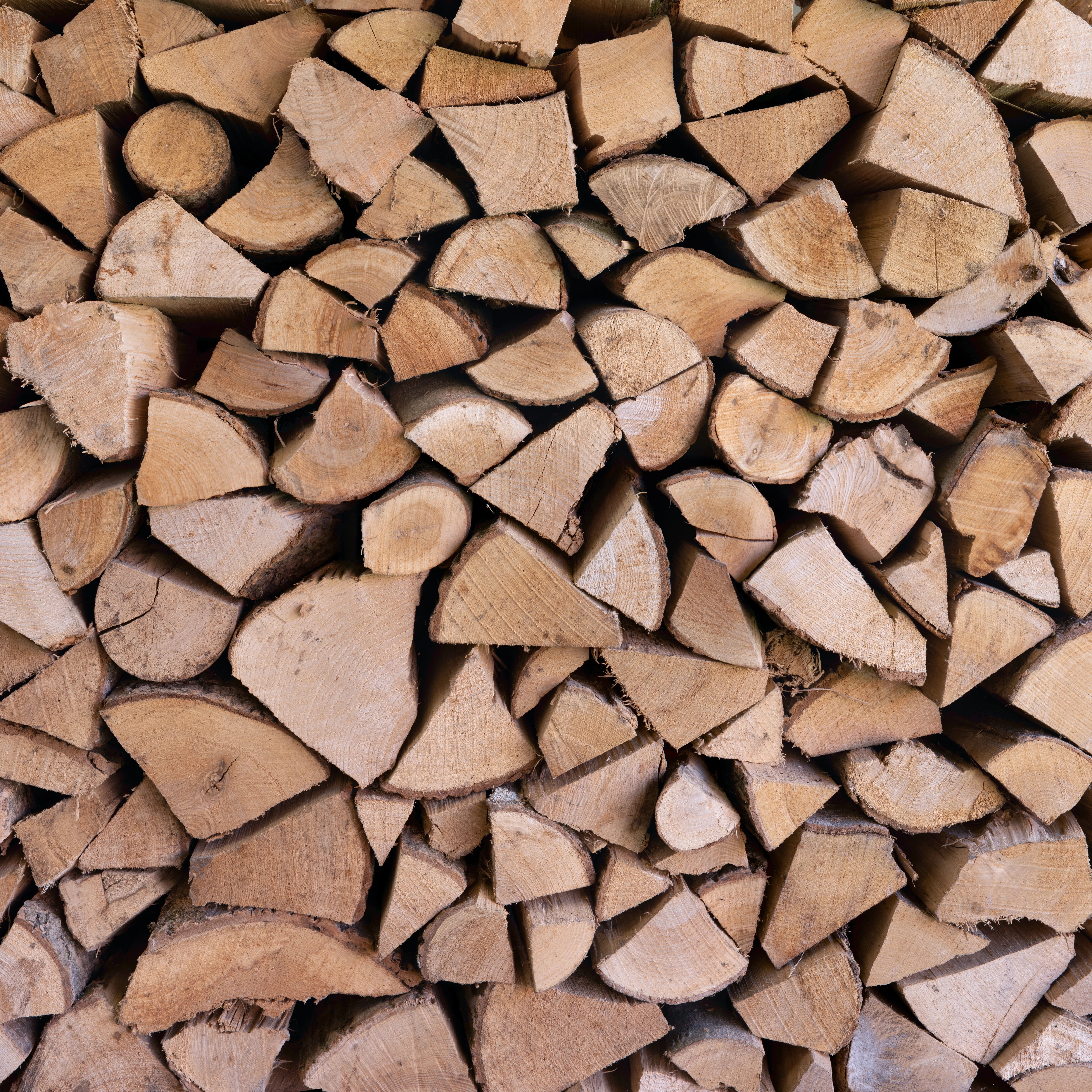 Duschrückwand - Madera-Tronco