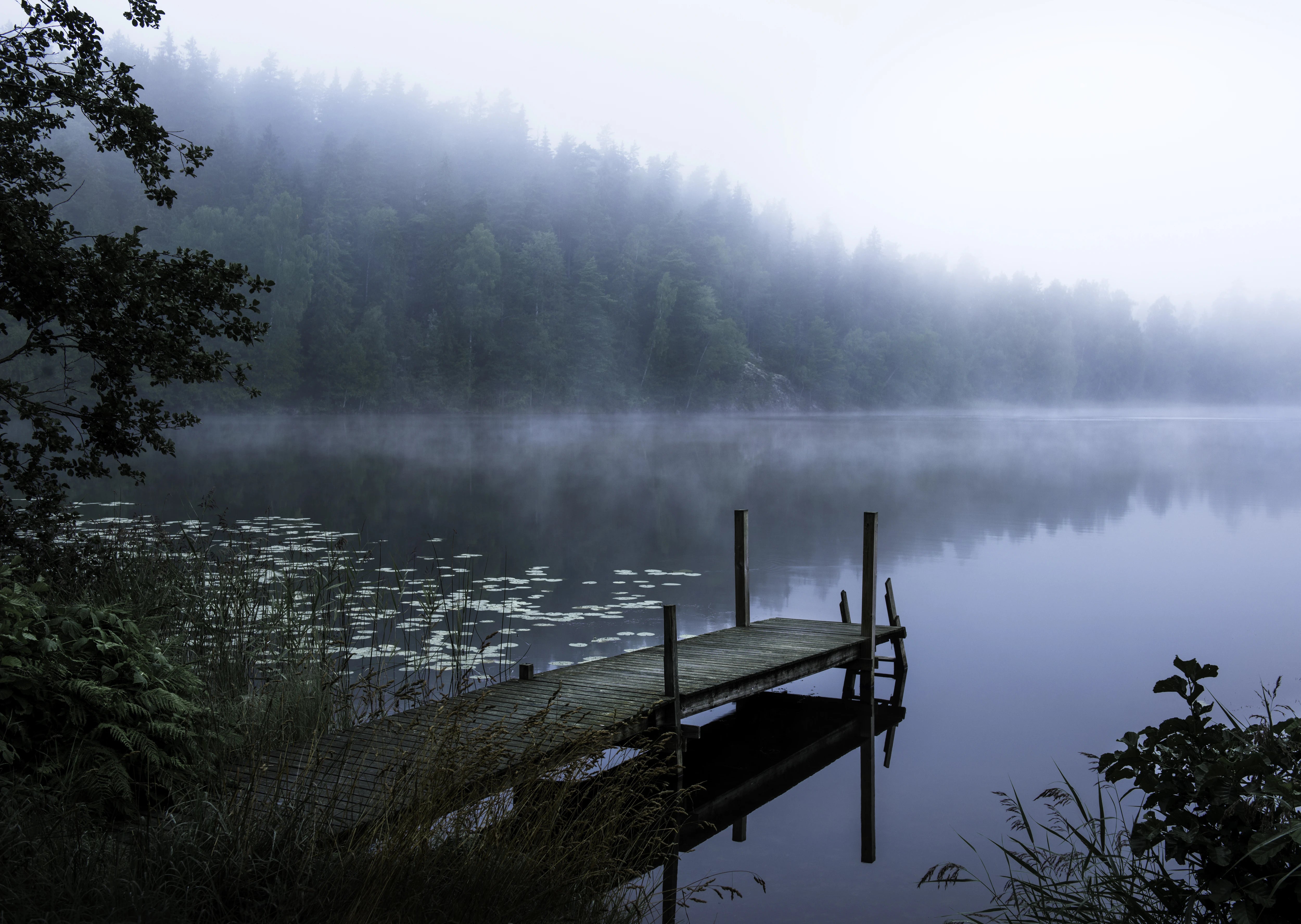 Duschrückwand - Mist