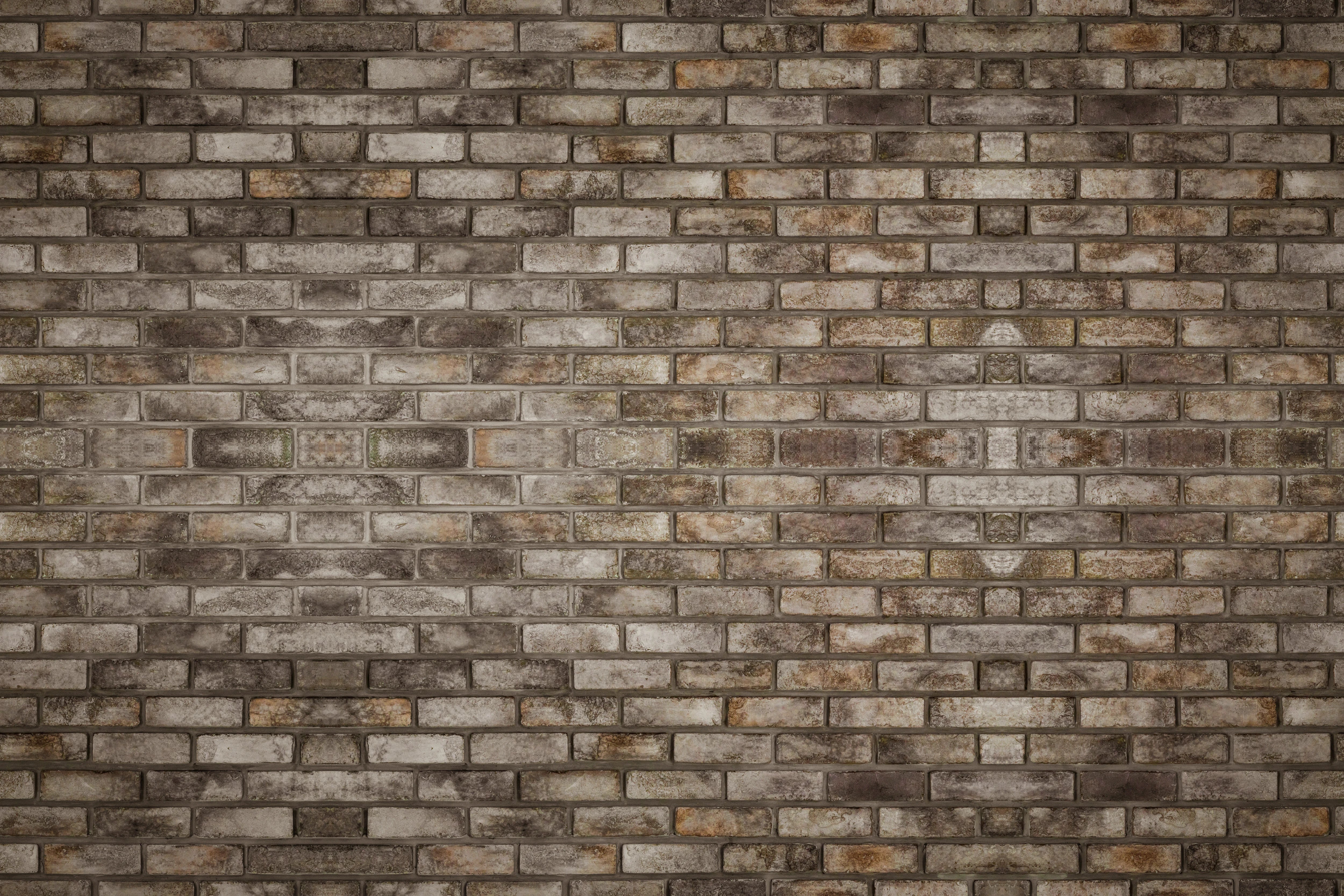 Duschrückwand - Cotto