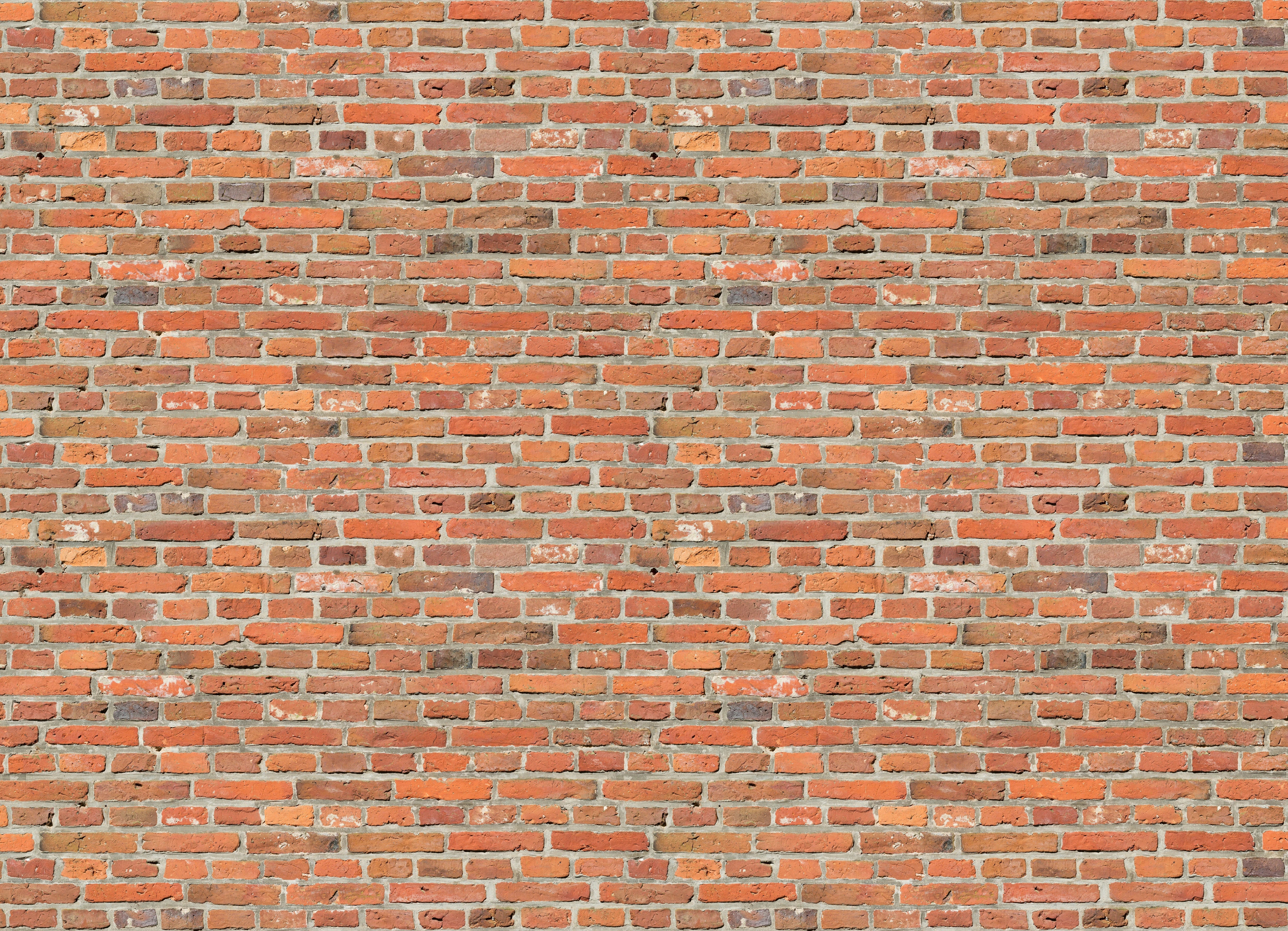 Duschrückwand - Fendimuro