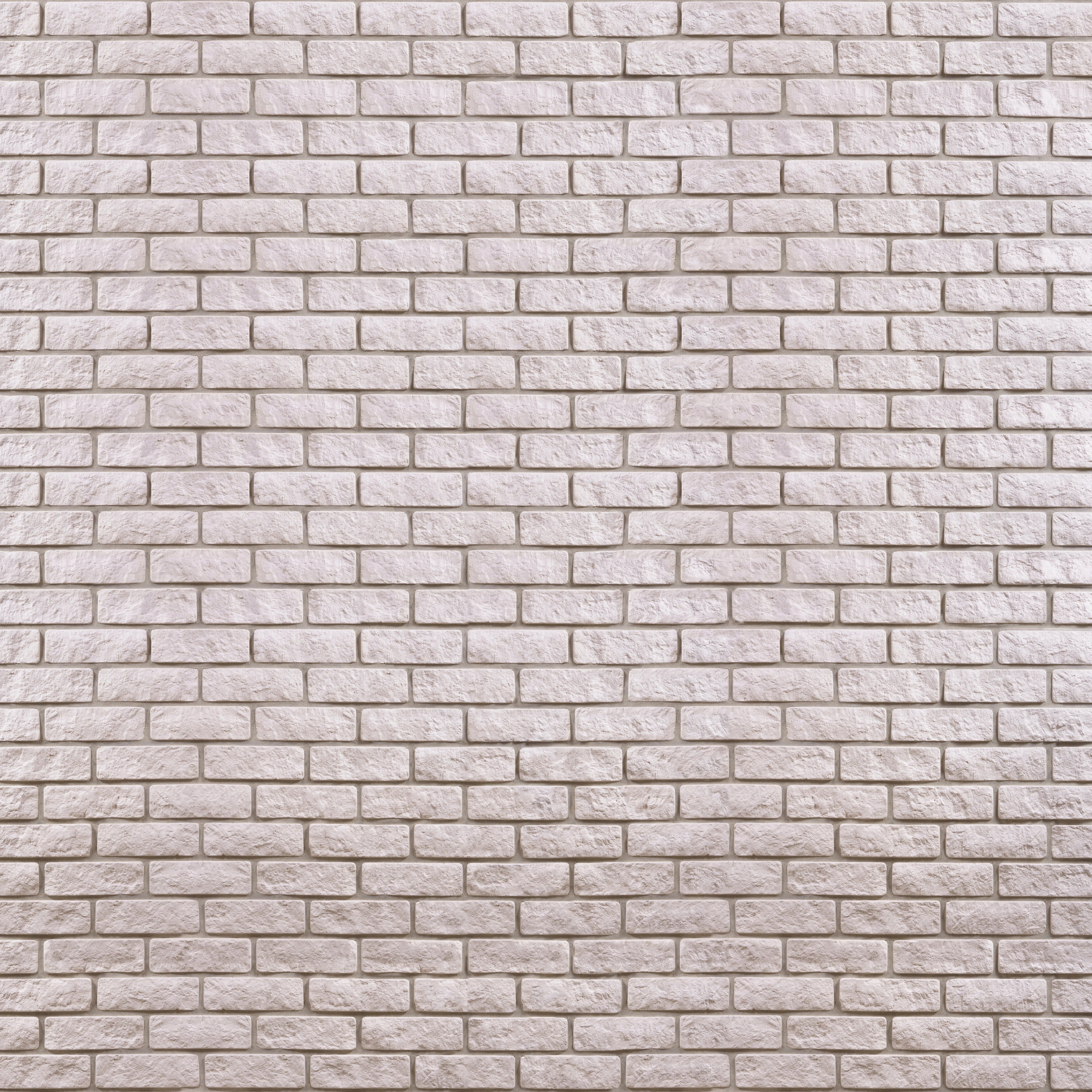 Duschrückwand - Muro-Tibio