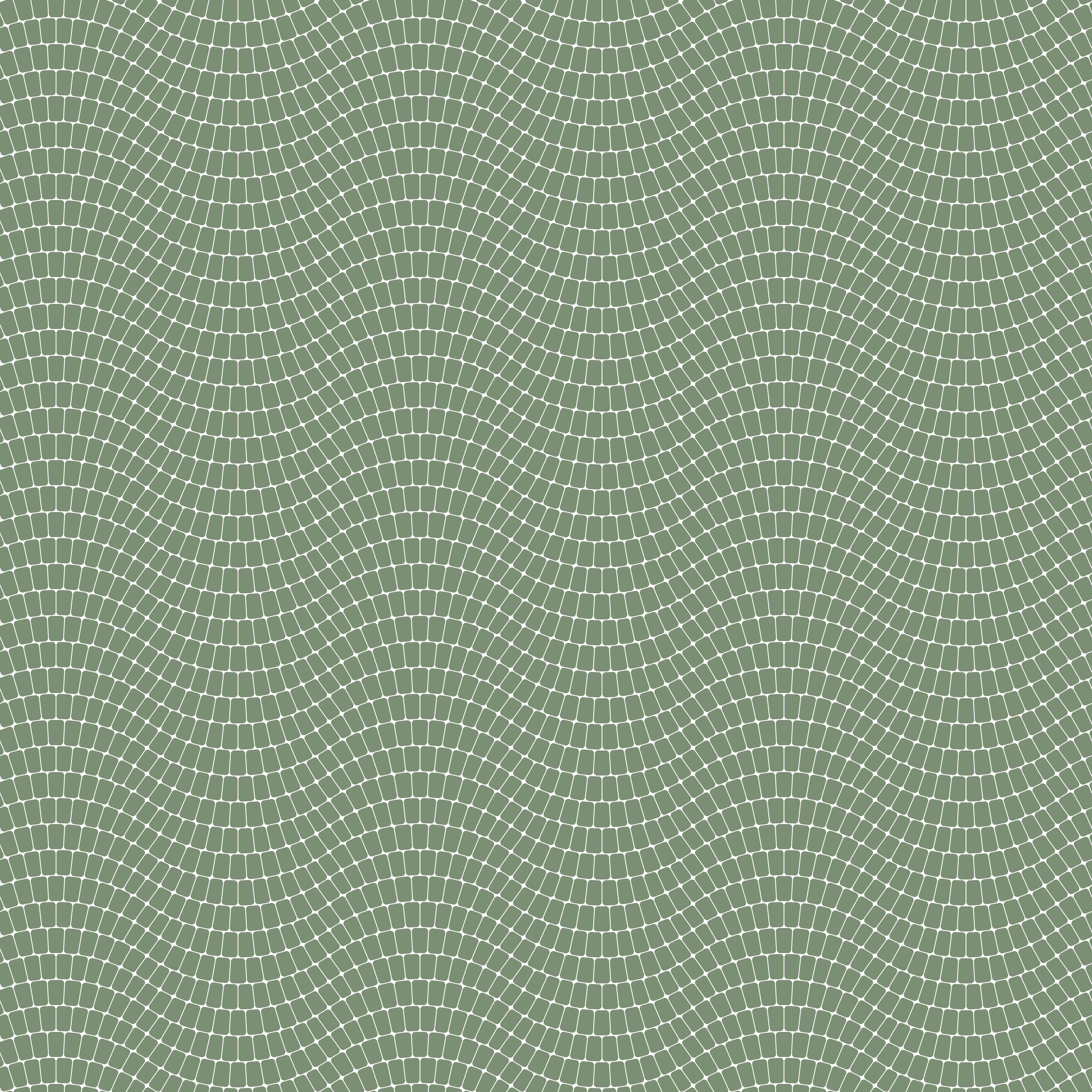Duschrückwand - Onde - Sinuoso - Oliva