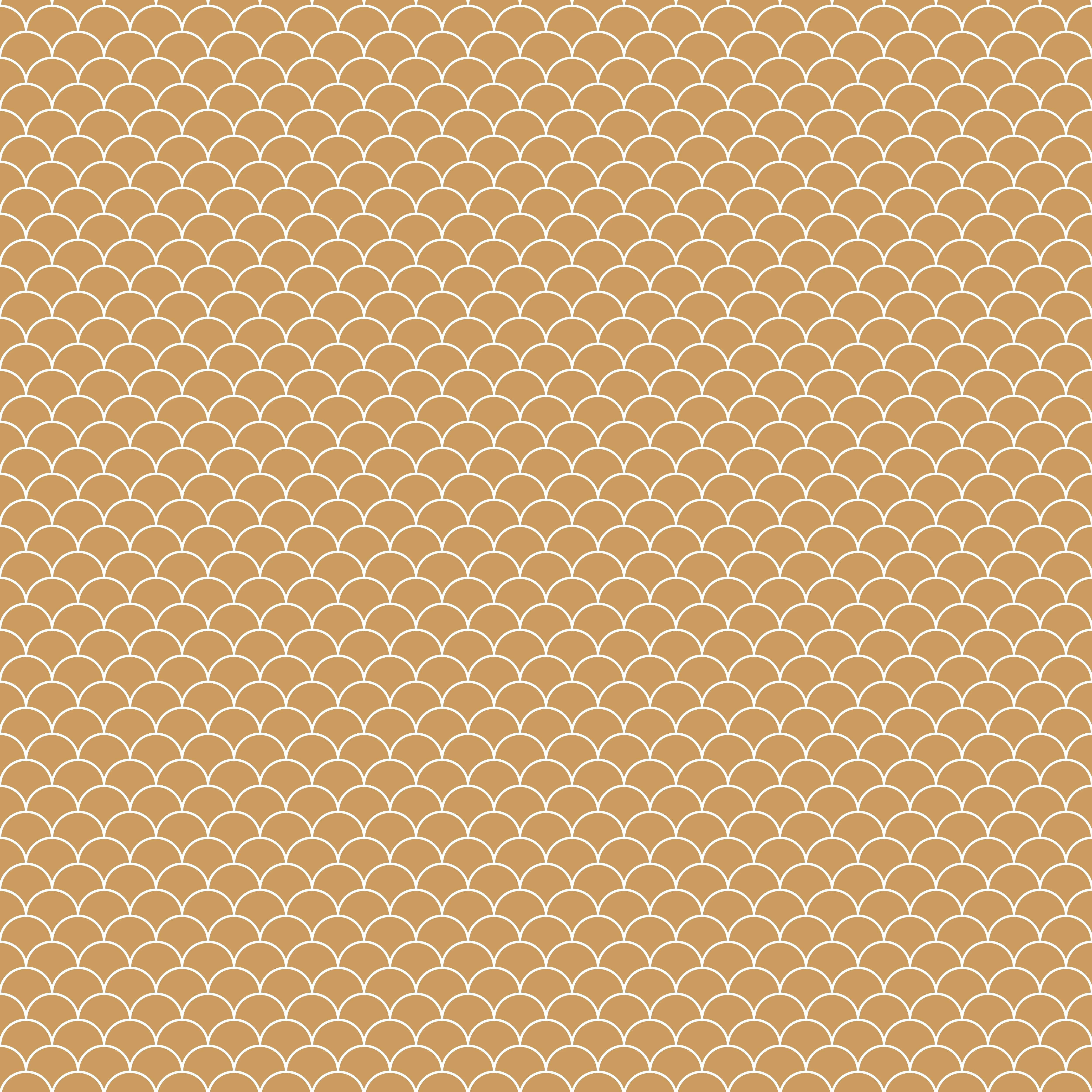 Duschrückwand - Simmetria - Imperiale - Ocra
