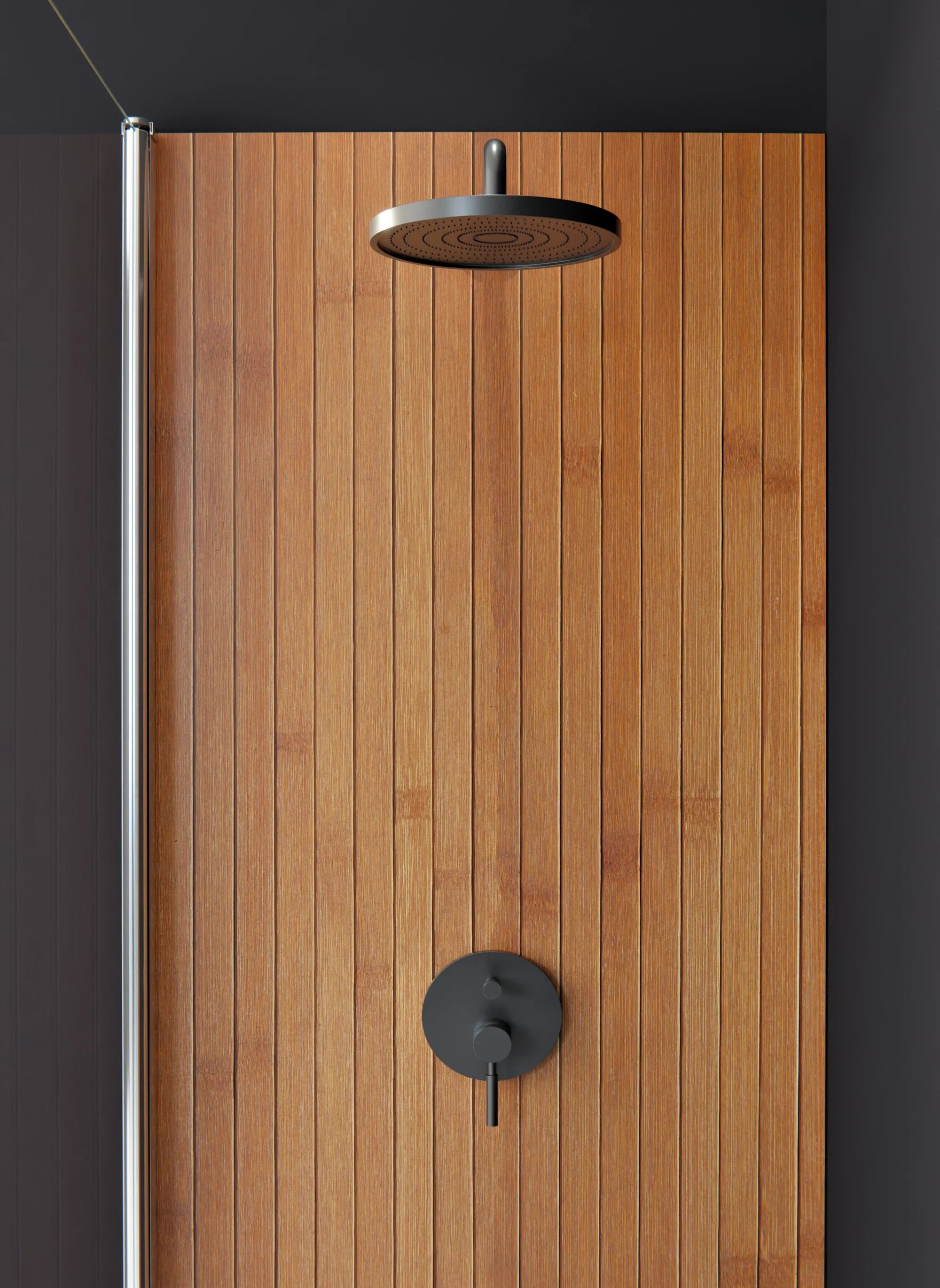 Duschrückwand - Standardmaß - Linea-Caoba