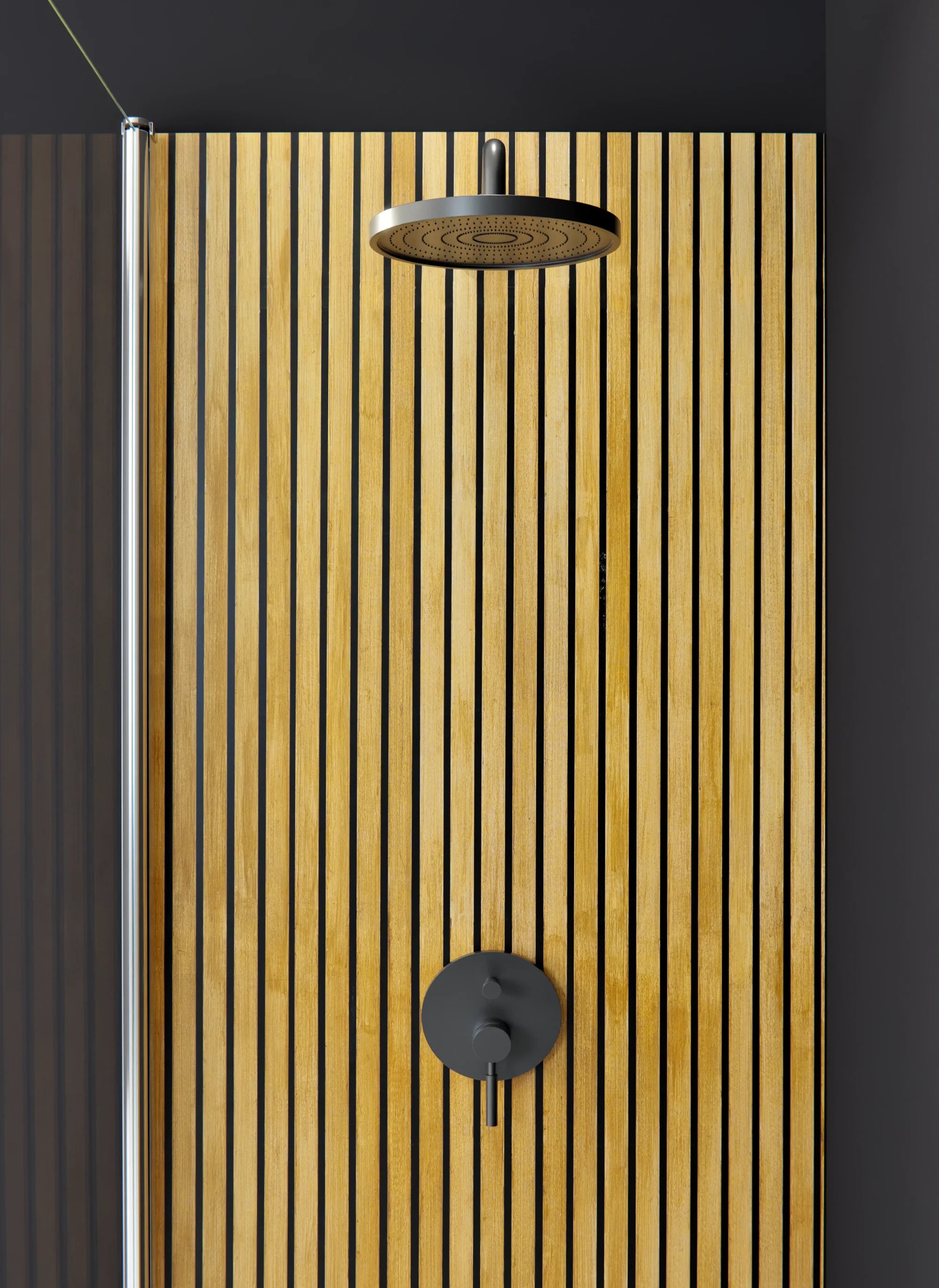 Duschrückwand - Standardmaß - Traccia