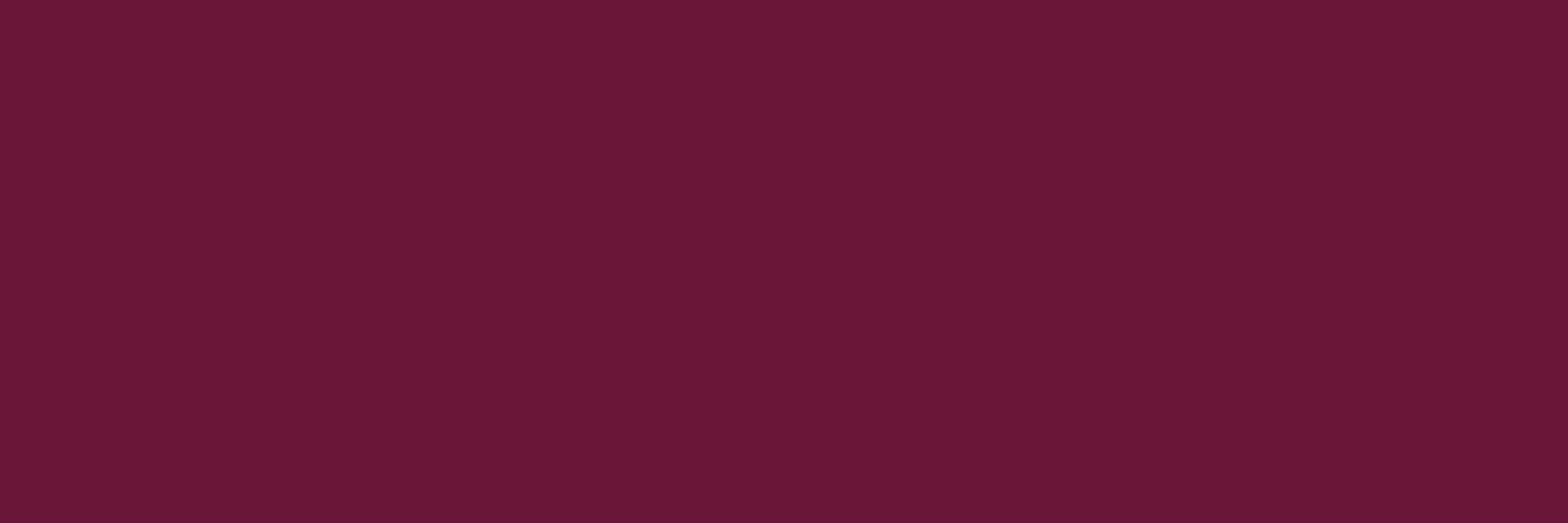 Küchenrückwand - Bordeaux Elegance