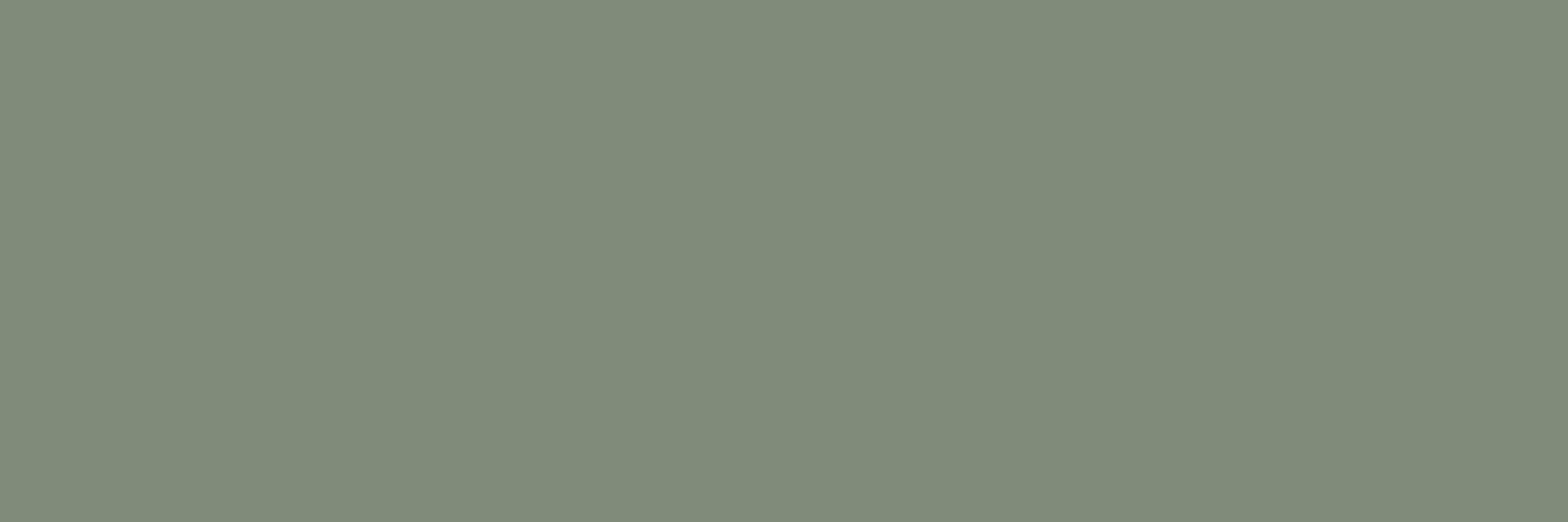 Küchenrückwand - Ash Grey