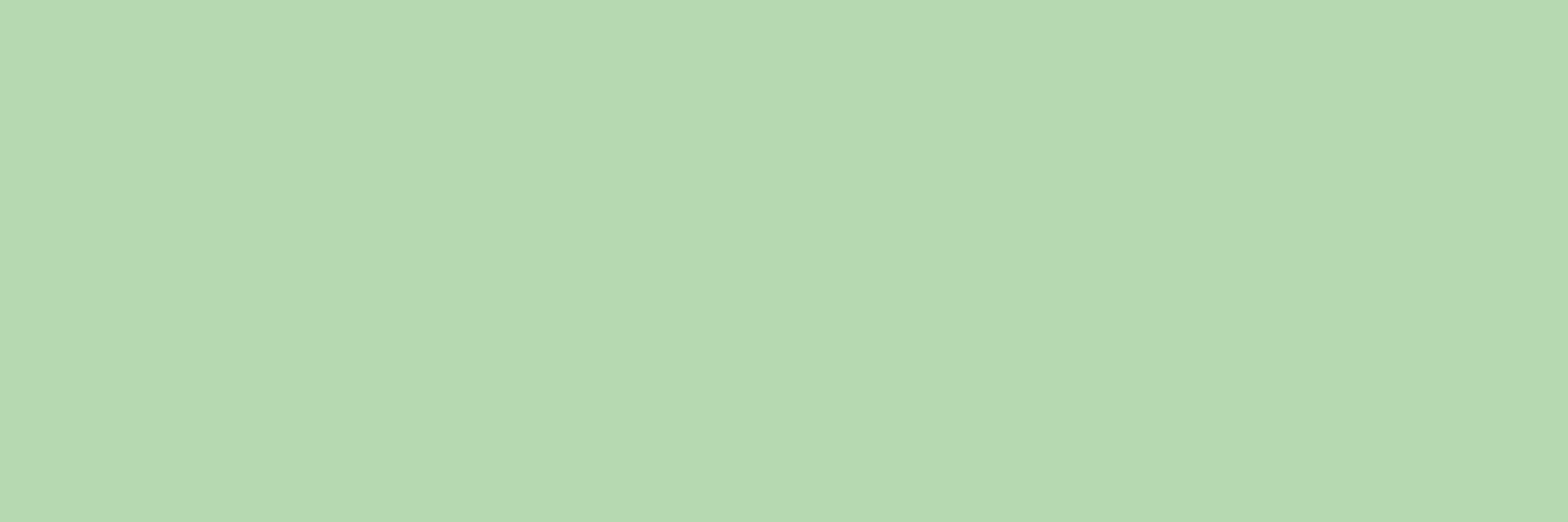 Küchenrückwand - Mint Essence