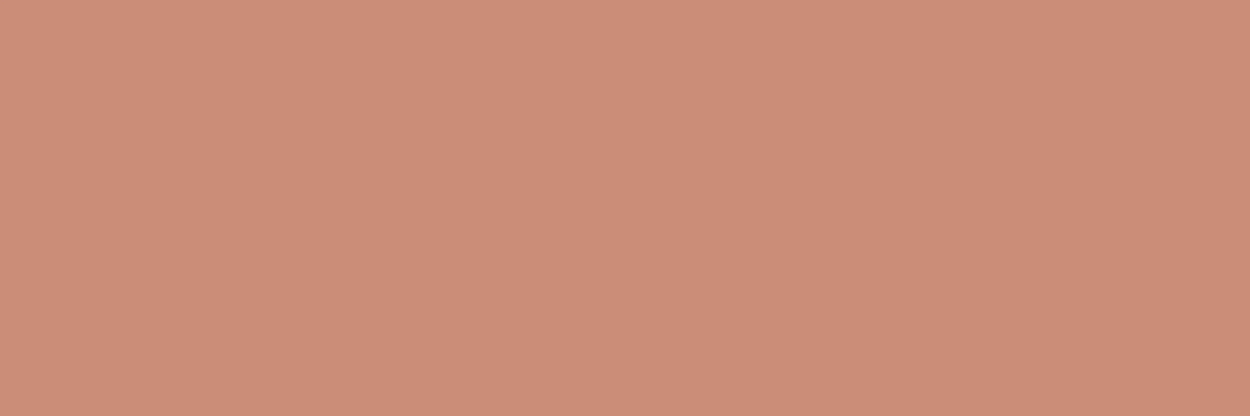 Küchenrückwand - Terracotta Blush