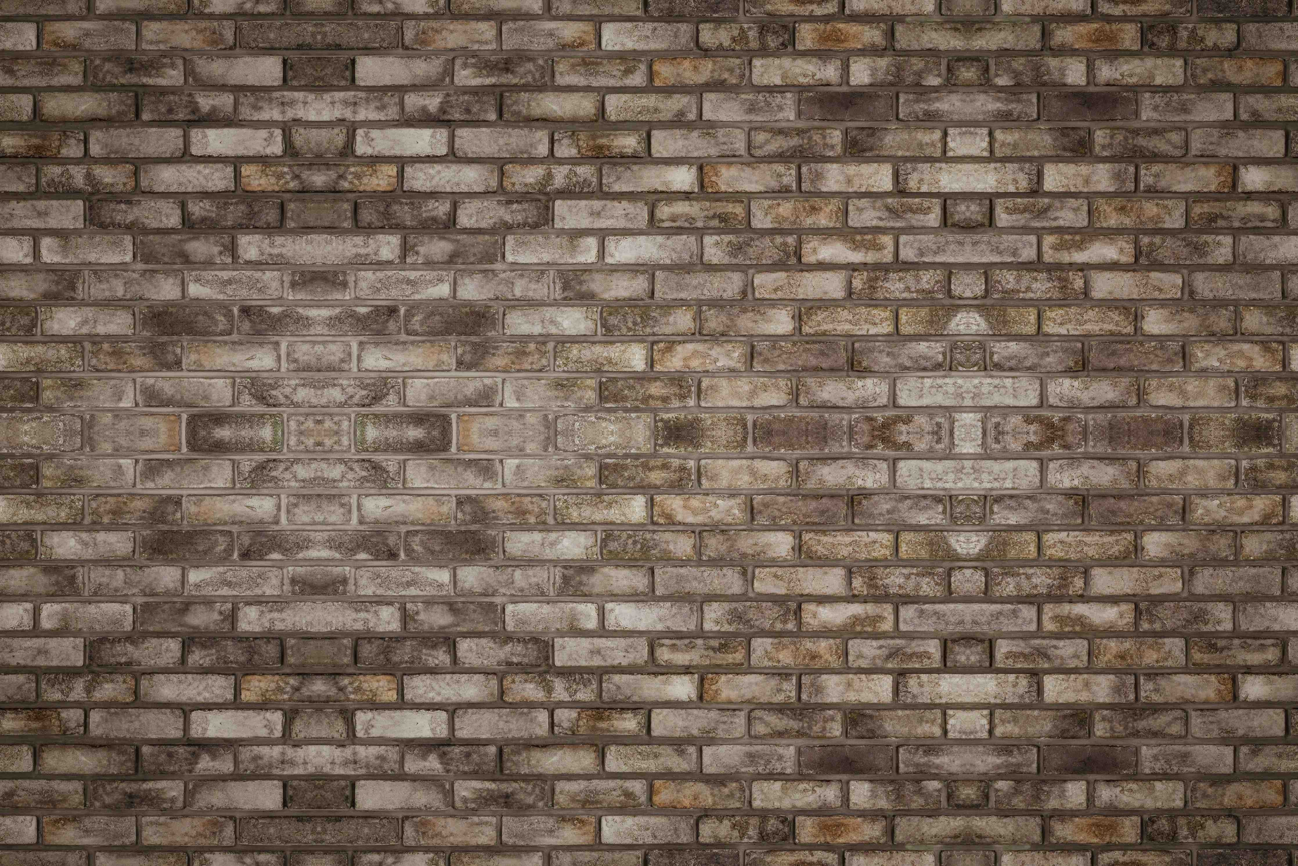Duschrückwand-duschrueckwand-standard-cotto