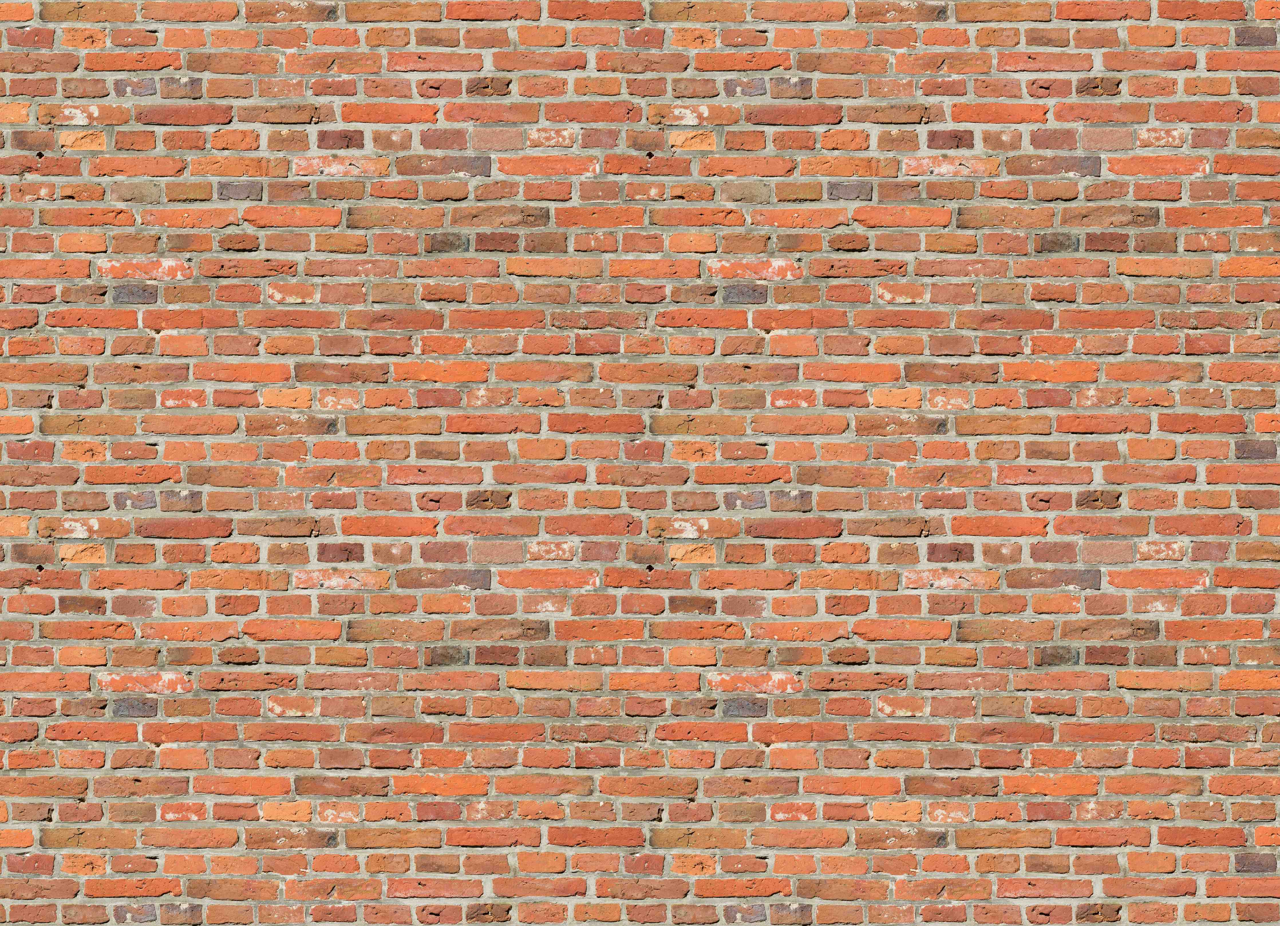 Duschrückwand-duschrueckwand-standard-fendimuro